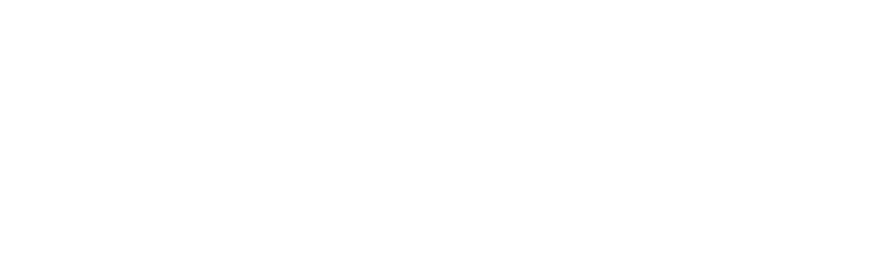 Bachenheimer Logo