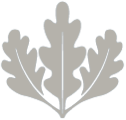leed-silver-icon