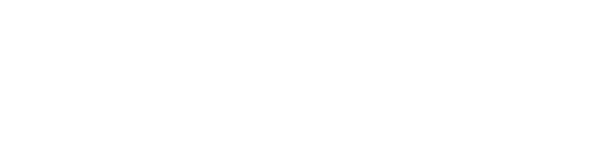 NorthXNorthwest Logo